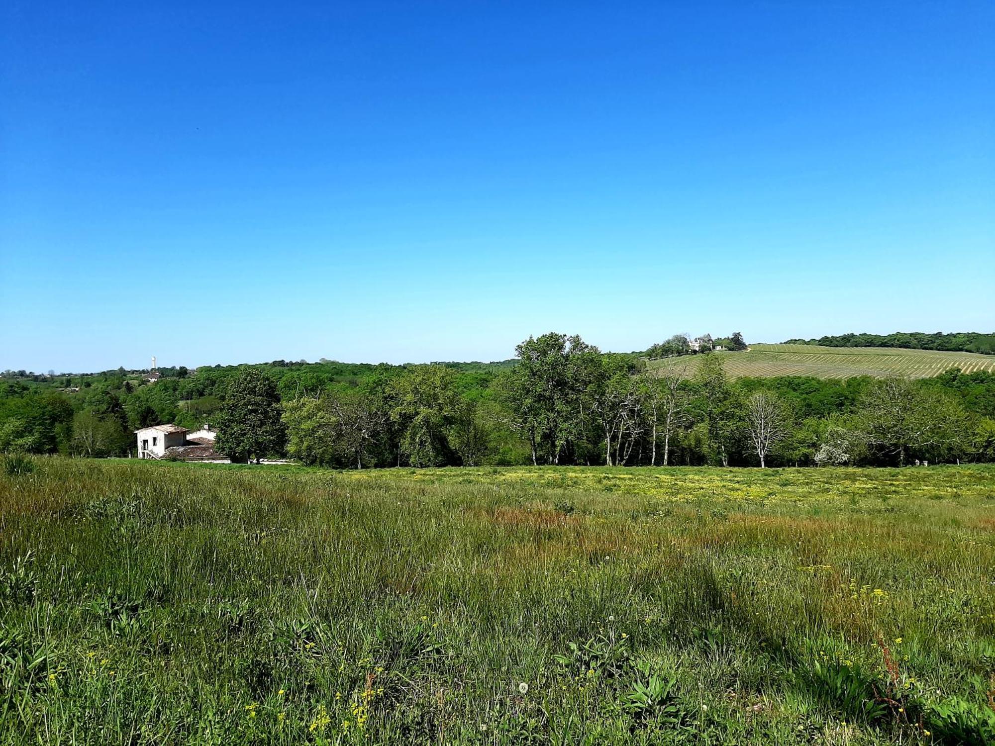 Aux Tuileries Nord B&B Créon Eksteriør billede
